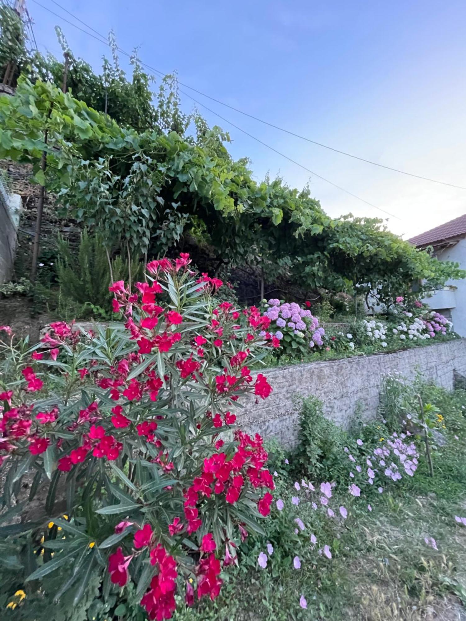 Elsa'S Villa Αργυρόκαστρο Εξωτερικό φωτογραφία
