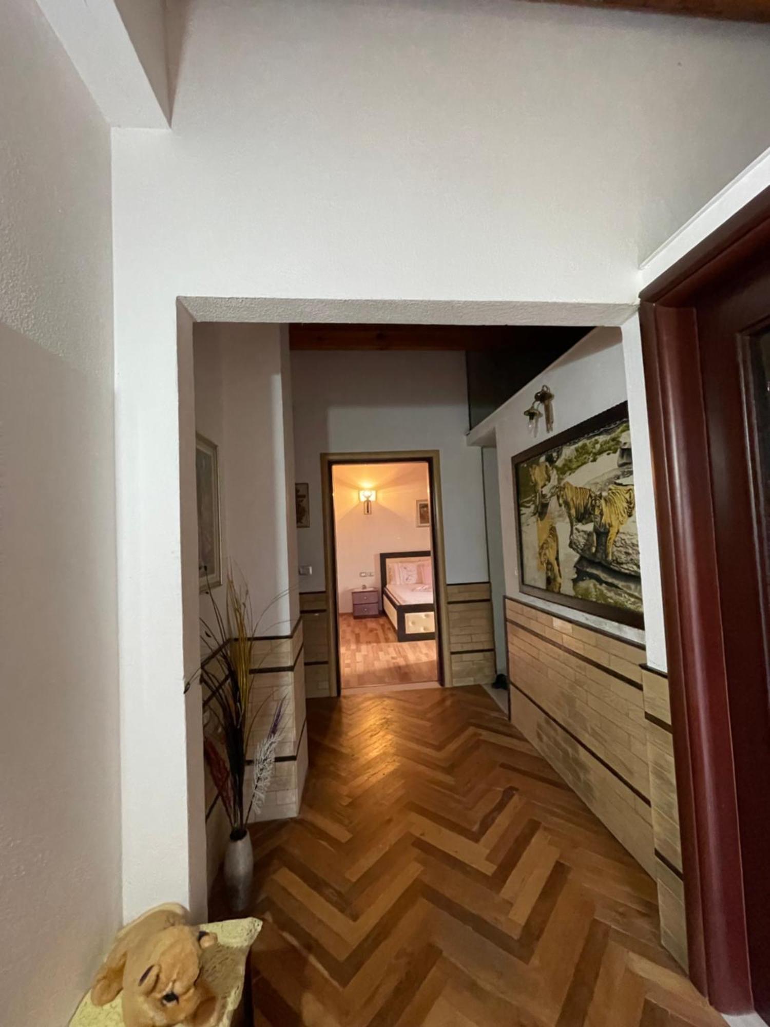 Elsa'S Villa Αργυρόκαστρο Εξωτερικό φωτογραφία